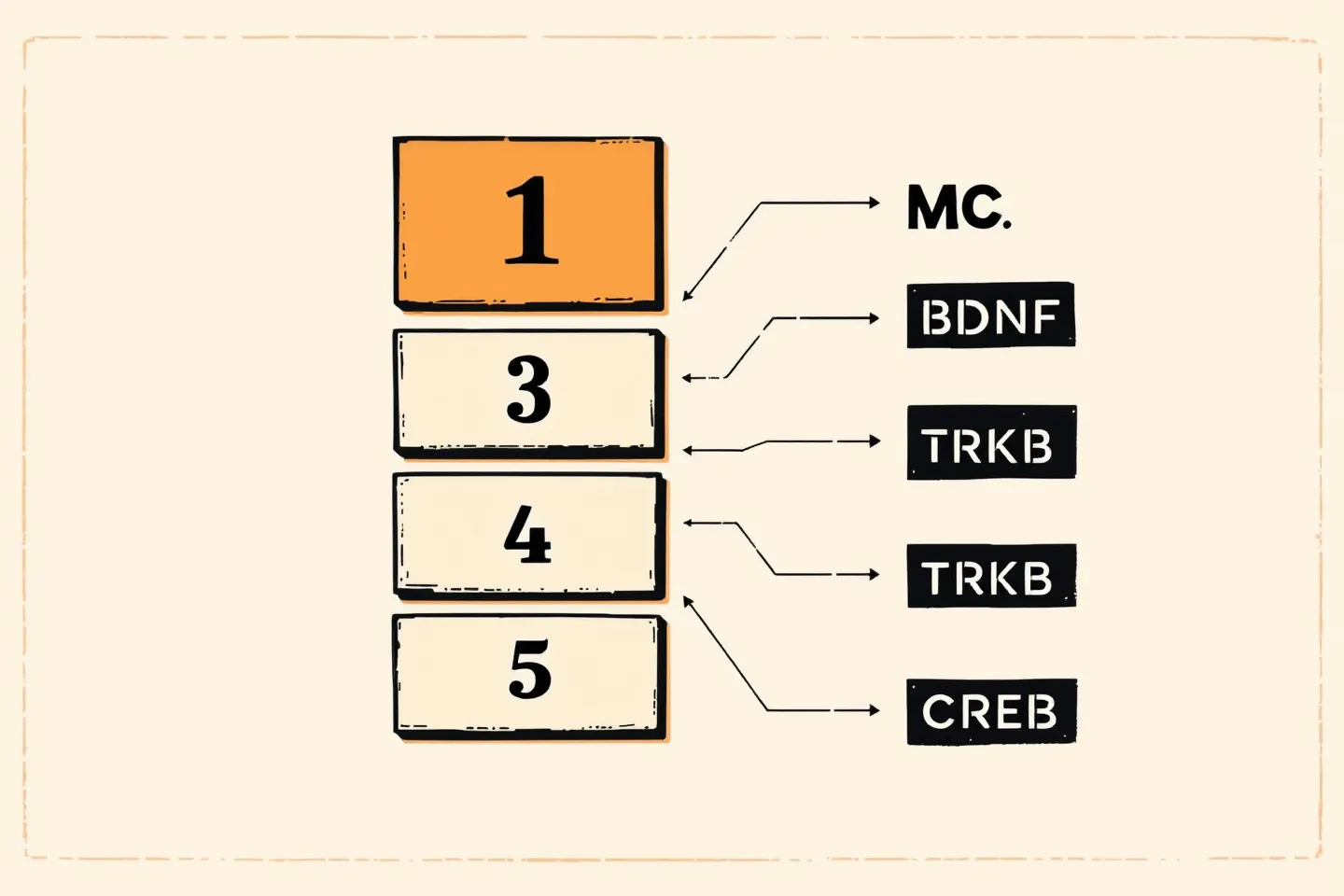 SECTION 01 / MECHANISM